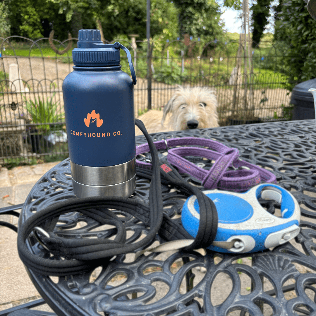 KibbleSip - Hydration & Nutrition For Every Adventure