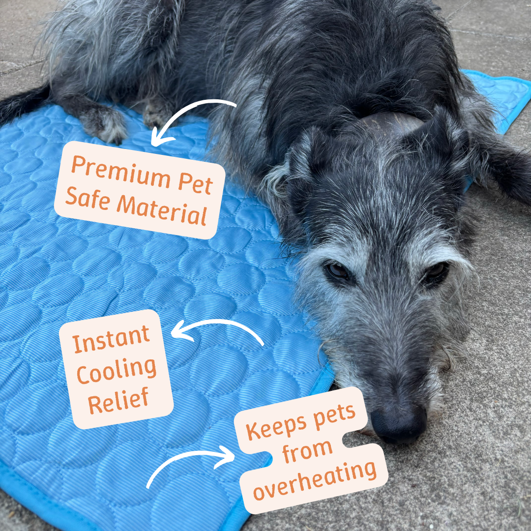 PawFrost Pad - Pet Comfort Pad