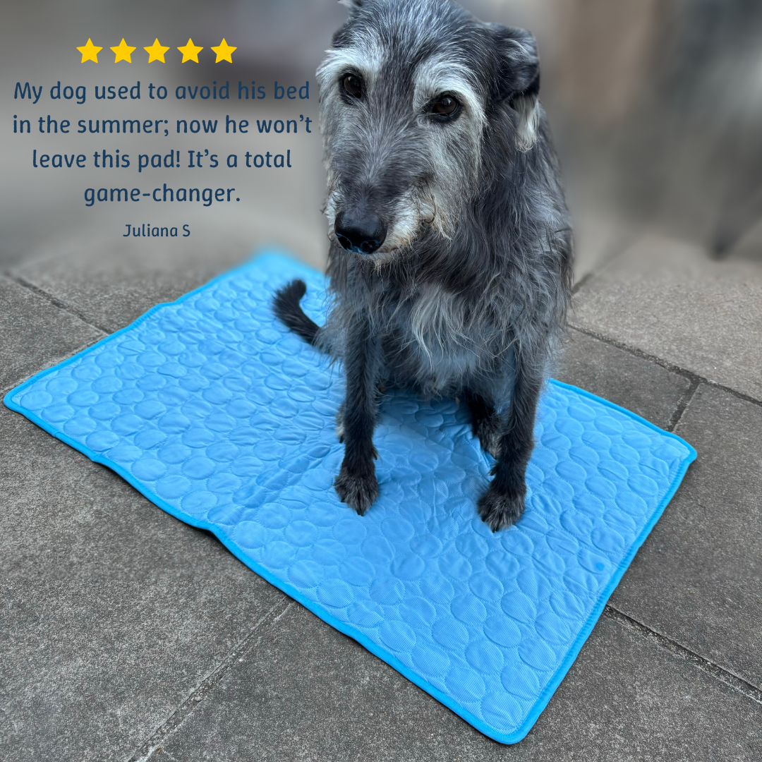 PawFrost Pad - Pet Comfort Pad
