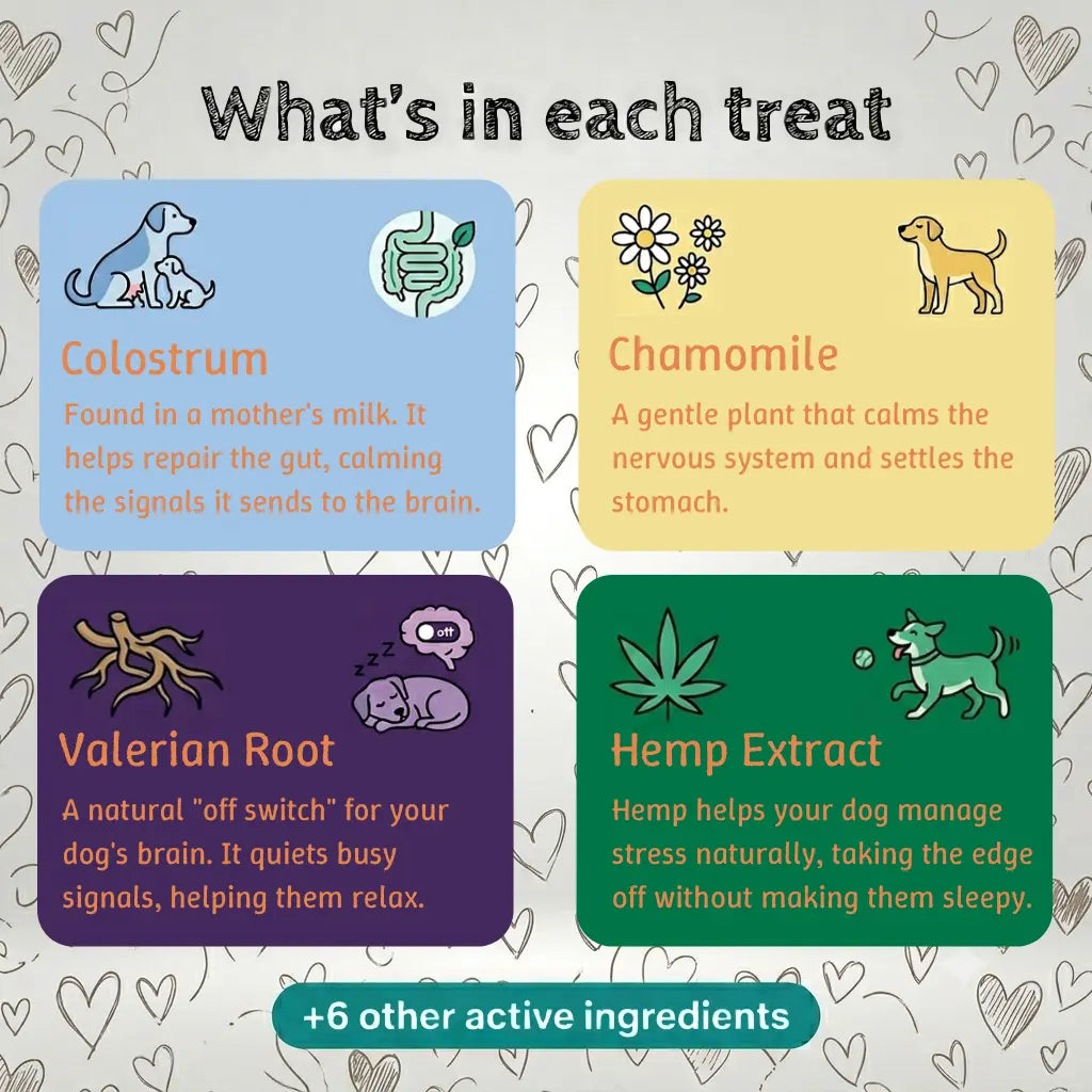 Behaviour & Emotional Balance Bites