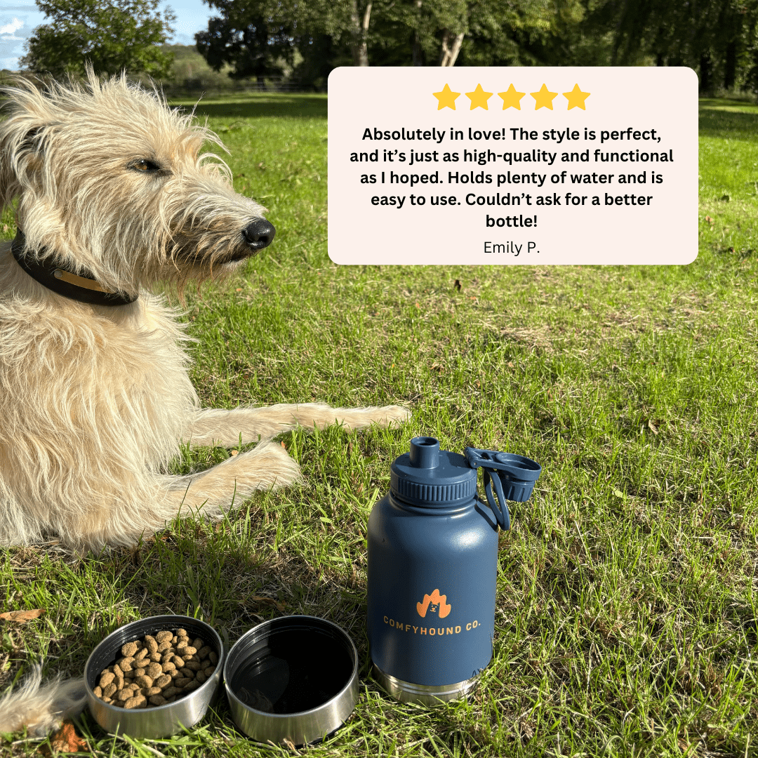 KibbleSip - Hydration & Nutrition For Every Adventure